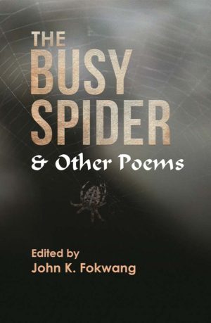 The Busy Spider