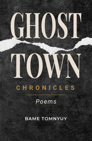 Ghost Town Chronicles
